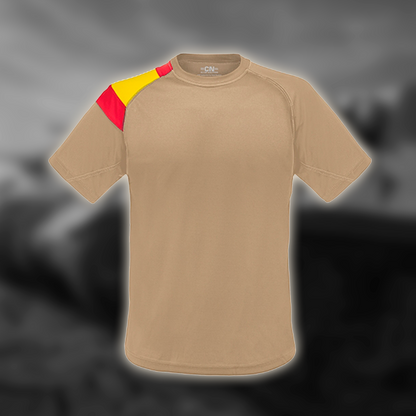 Camiseta bandera España