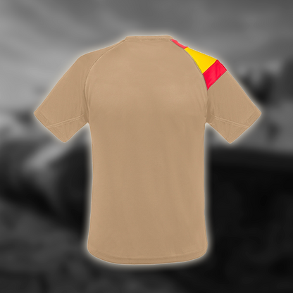 Camiseta bandera España