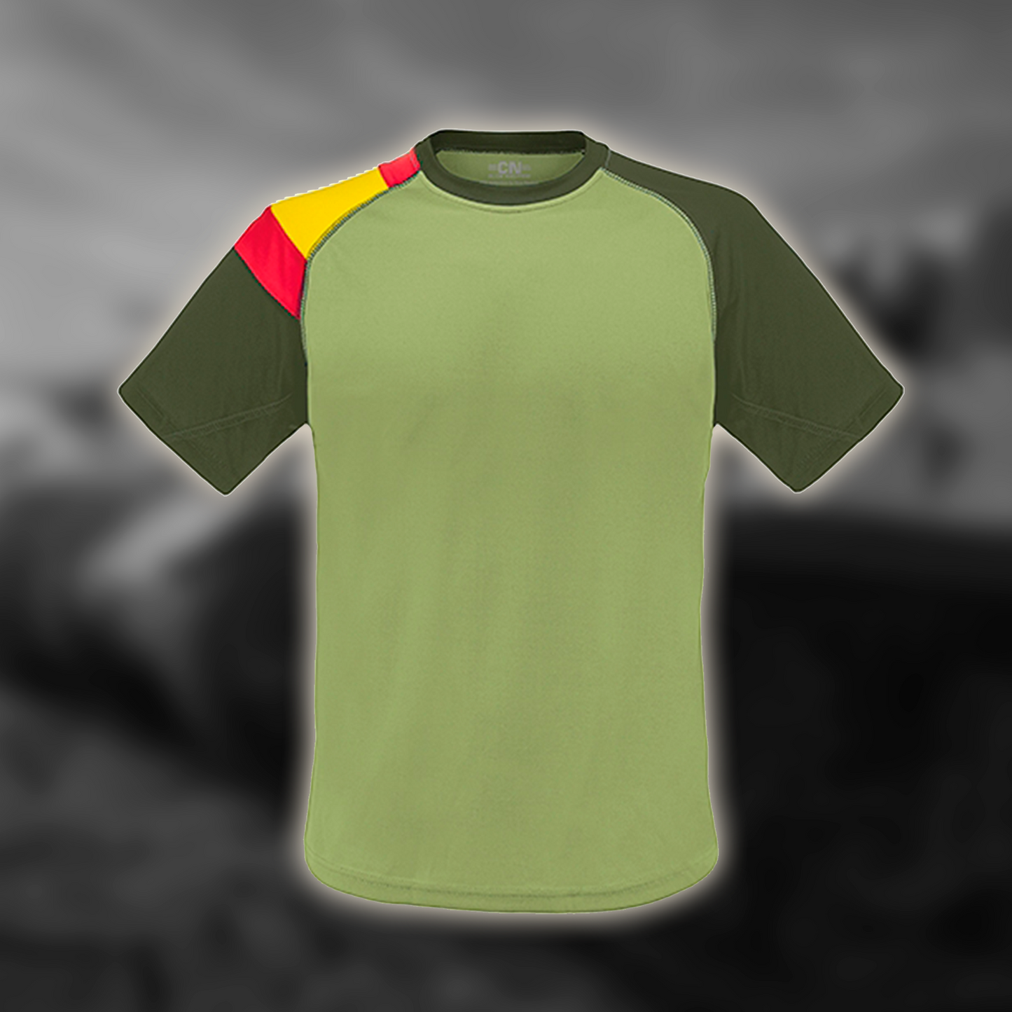 Camiseta bandera España